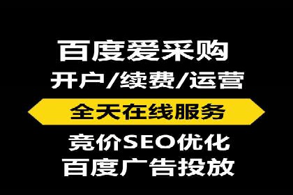 行业领先的SEM竞价广告投放案例
